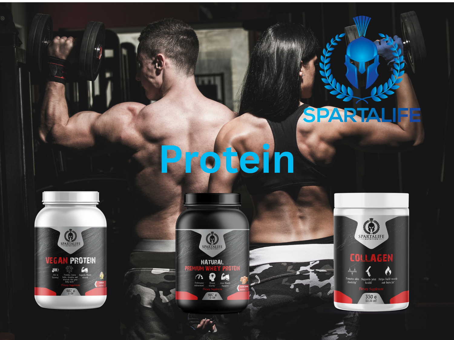 Protein